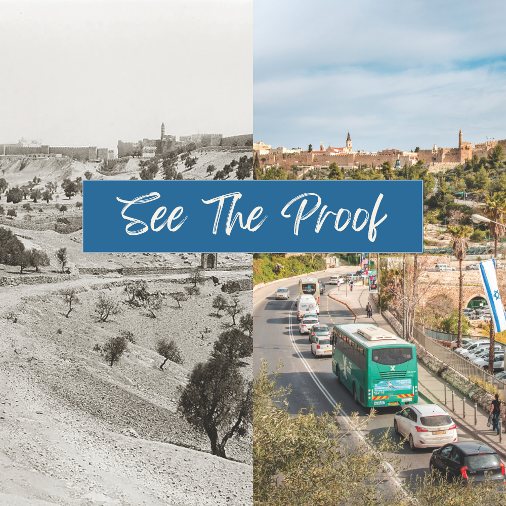 Jerusalem Walls From The Southwest 1860