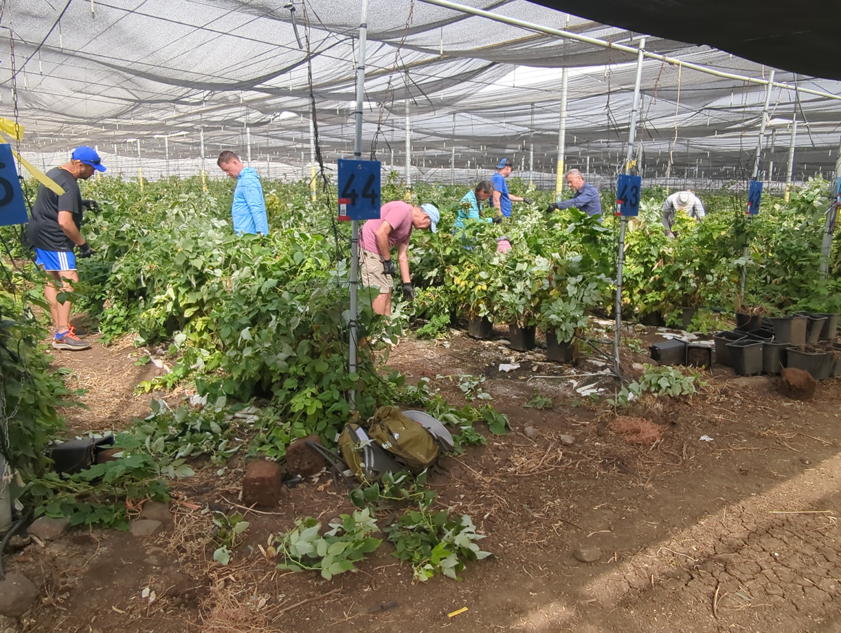 Ezra Adventures Group Harvesting Fruits and Vegetables